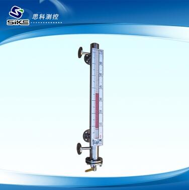side mounted magnetic float level gauge