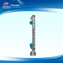 Top mounted magnetic float liquidometer