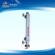 Magnetic level gauge